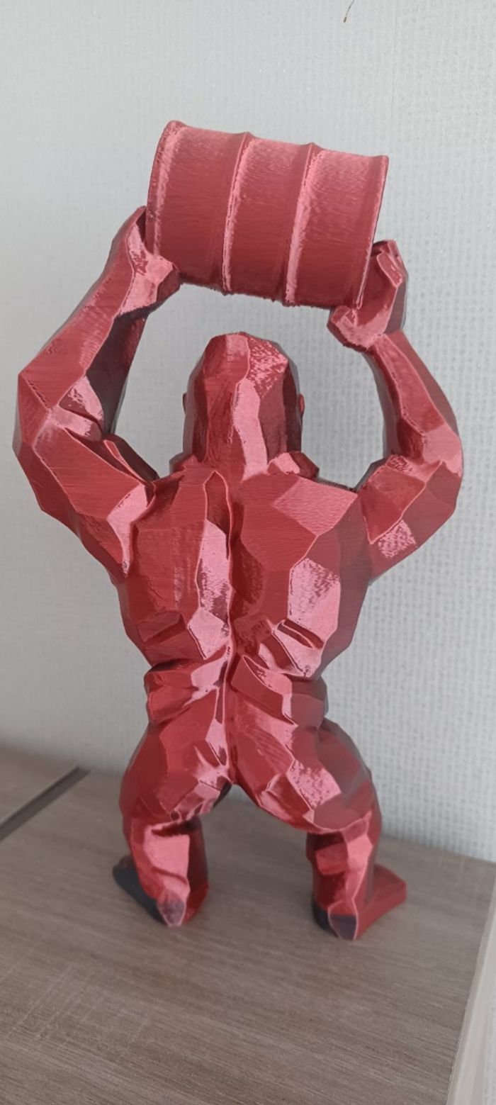 Gorille - photo numéro 2