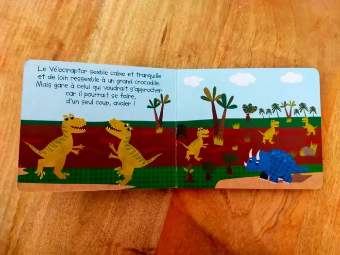 Livre cartonné : les dinosaures 🦕 - photo numéro 5