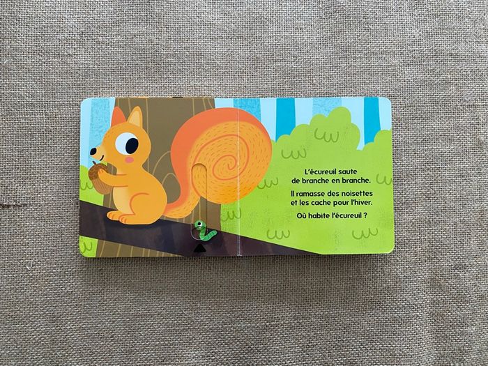 Livre Qui habite dans les bois ? Caché Trouvé Larousse Jeunesse - photo numéro 7