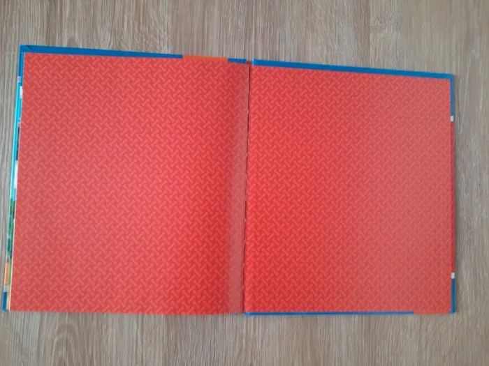 Livre Pat patrouille - photo numéro 2
