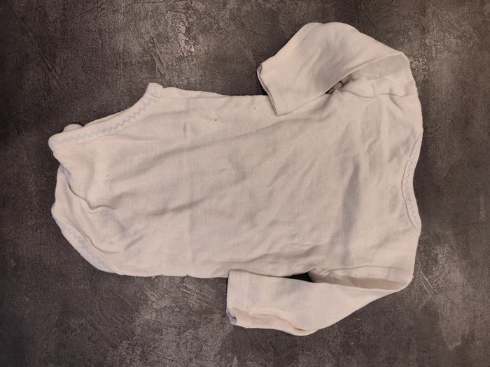 Boddie ours - photo numéro 2