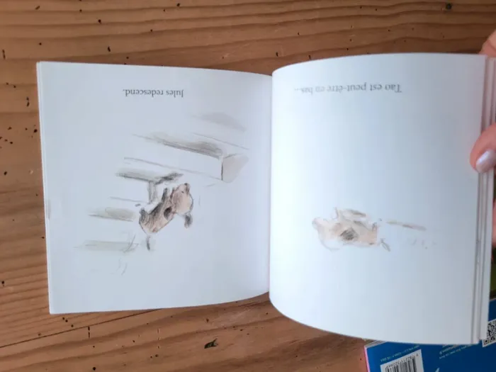 Lot de 5 livres École des Loisirs maternelle - photo numéro 15