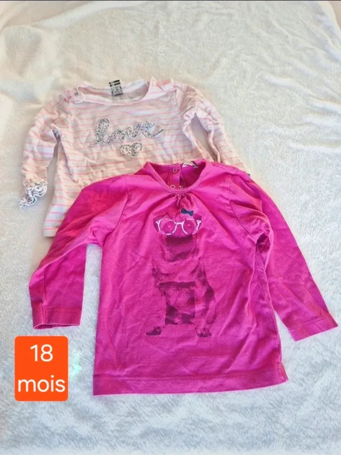 Lot 2 t shirts manches longues 18 mois