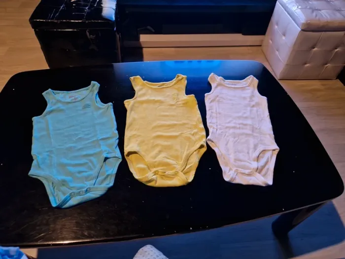 Lot 21 Bodies