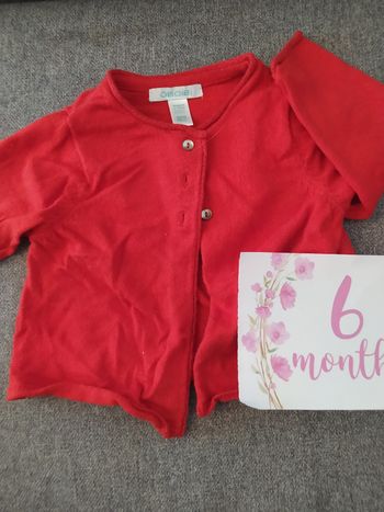 Lot 10 vestes 6 mois séparable