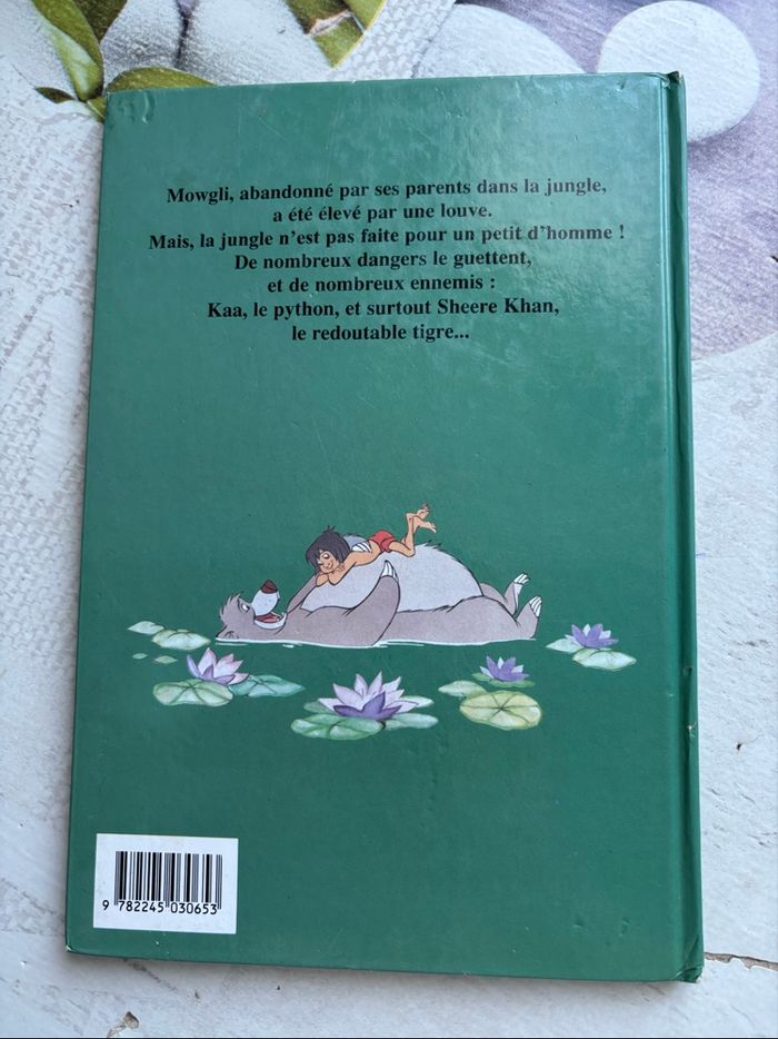 Livre Disney - photo numéro 5