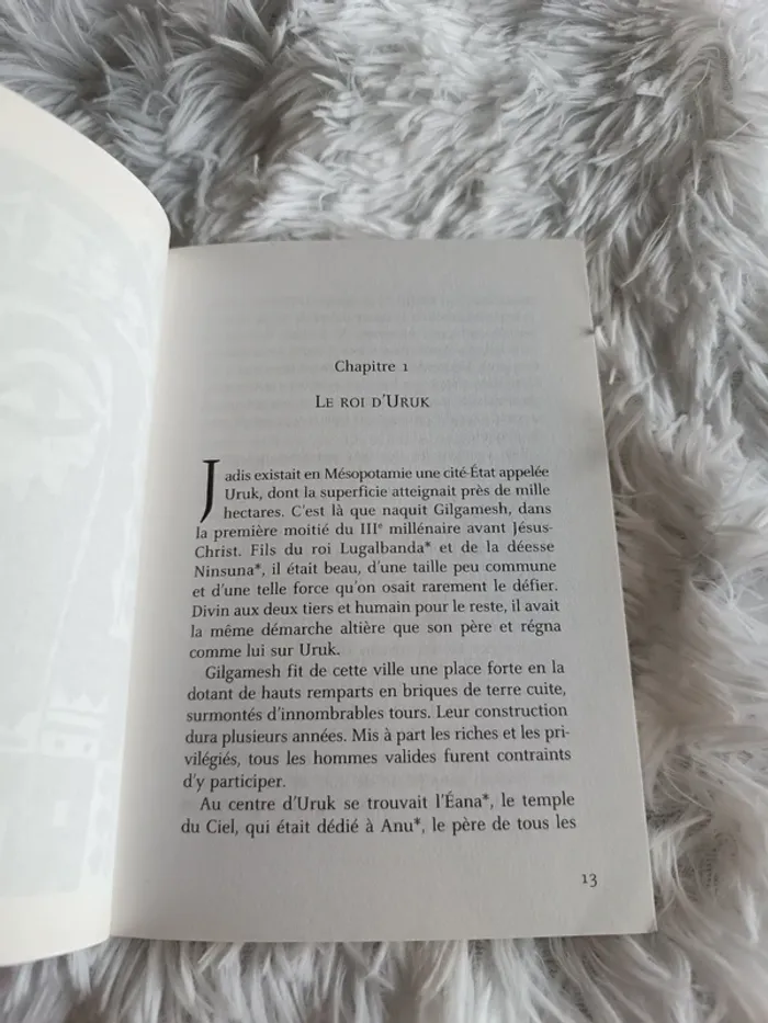 Livre L'épopée de Gilgamesh en 8 récits _ dès 11 ans _ Flammarion Jeunesse _ Jean Muzi - photo numéro 6