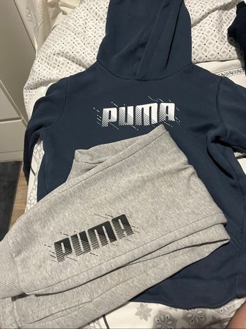 Ensemble puma