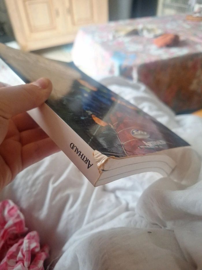 Livre le cap Horn en kayak - photo numéro 4