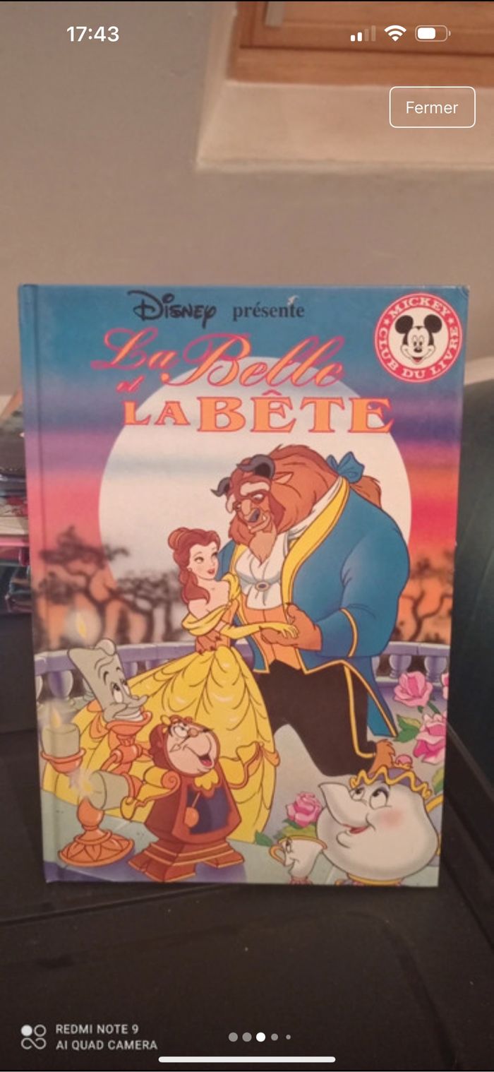 Livre Disney - photo numéro 3