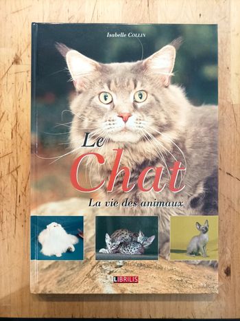 Le chat