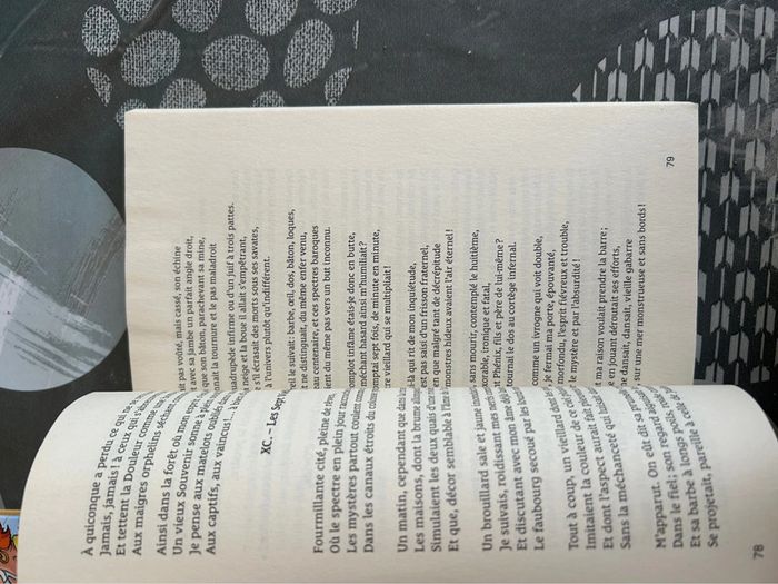 Livre les fleurs du mal - photo numéro 2