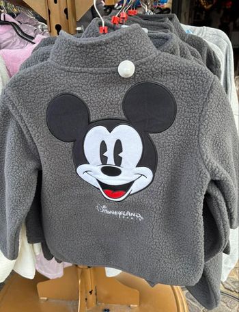 Polaire Mickey Disneyland Paris 