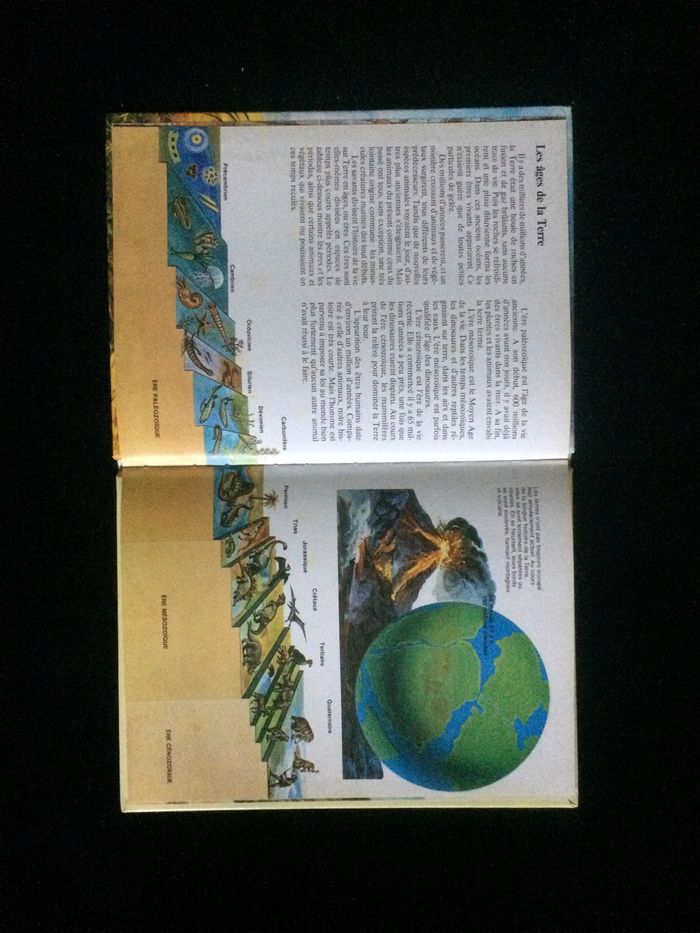 Livre dinosaures - photo numéro 3