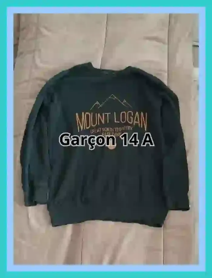 Sweat sans capuche la Redoute vert sapin garçon 14 ans