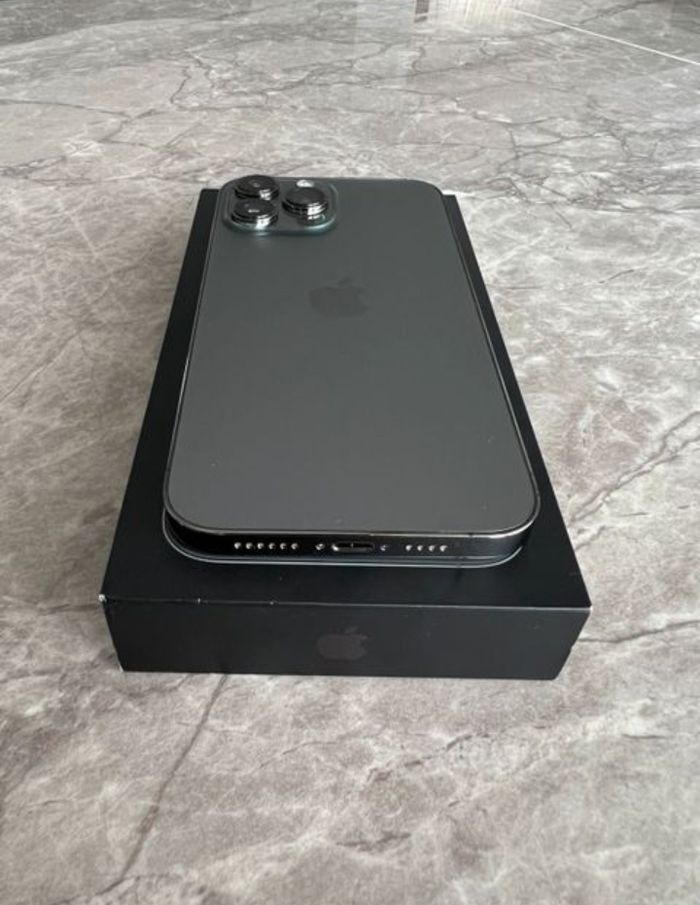 I p h o n e 13 p r o m a x - photo numéro 6