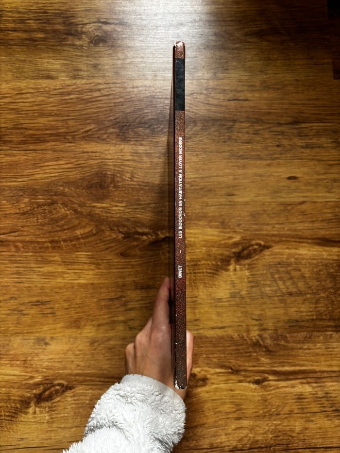 Les Bidochon en habitation à loyer modéré - photo numéro 3