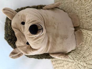 Blanche Porte une peluche hérisson