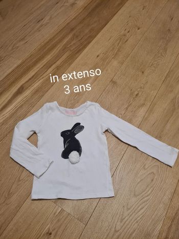T shirt lapin