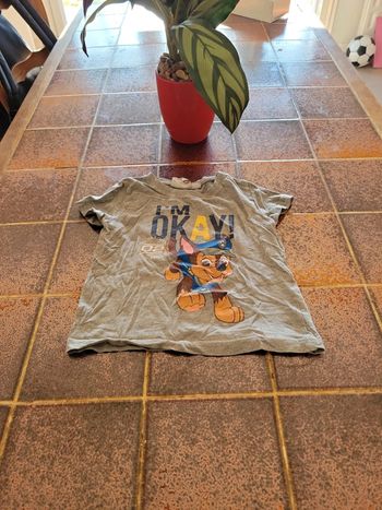 Tee shirt paw patrol