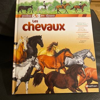 Les chevaux