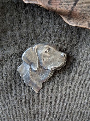 Pin's étain Tête de Labrador retriever chasse