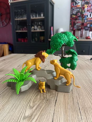 Playmobil 3239