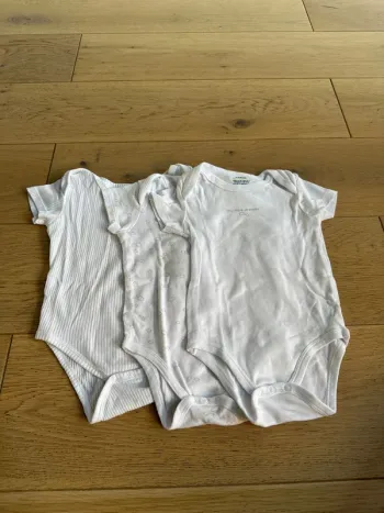 Bodies