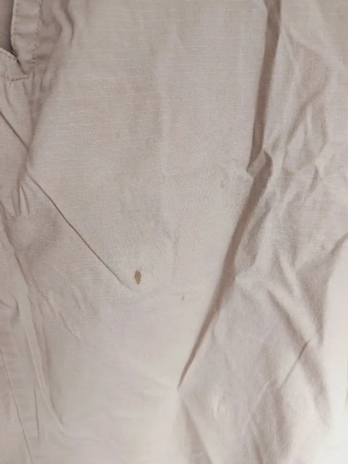 Short chino Dickies W40 FR50 - photo numéro 2