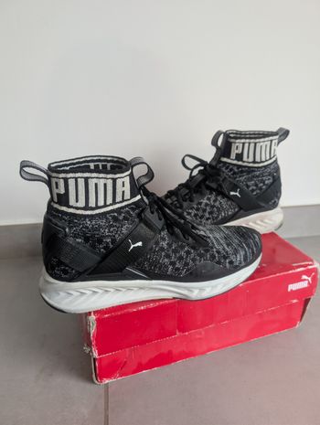 Baskets montantes puma 38