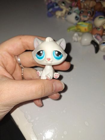 Petshop