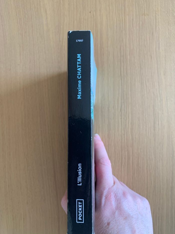 L’illusion - photo numéro 3