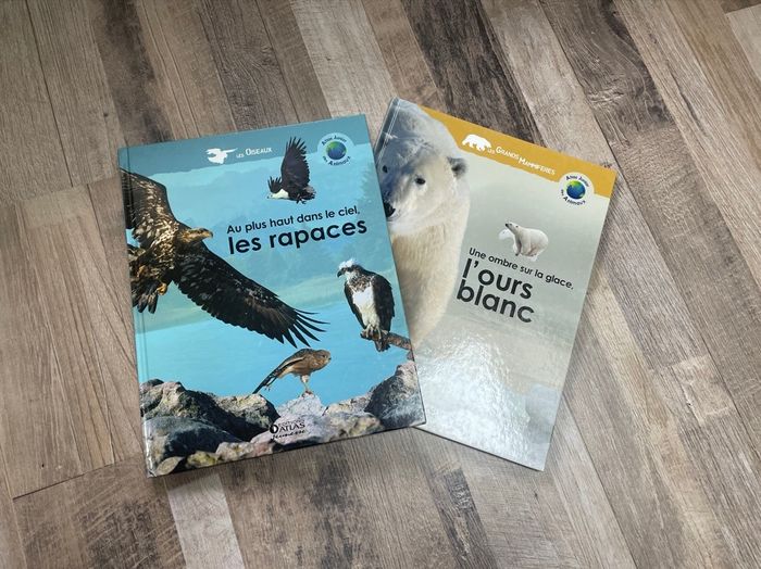 Documentaire rapaces&ours