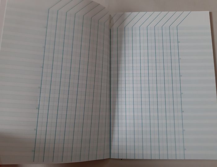carnet de bord enseignant - Clairefontaine - A5 - photo numéro 4