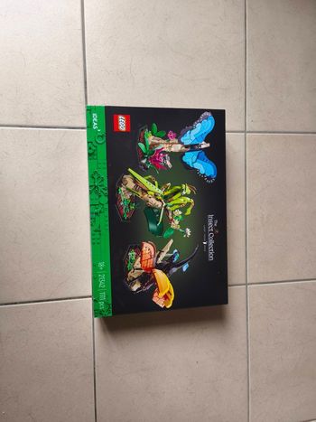 LEGO Ideas 21342 : The Insect Collection