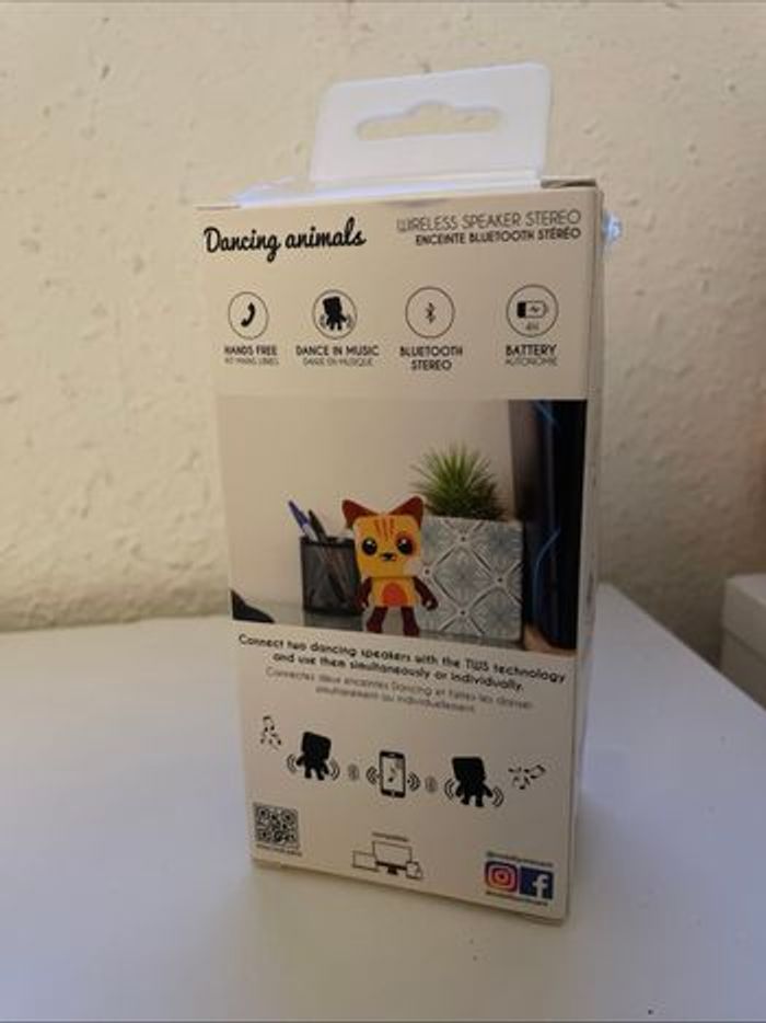Dancing animal cat - photo numéro 4