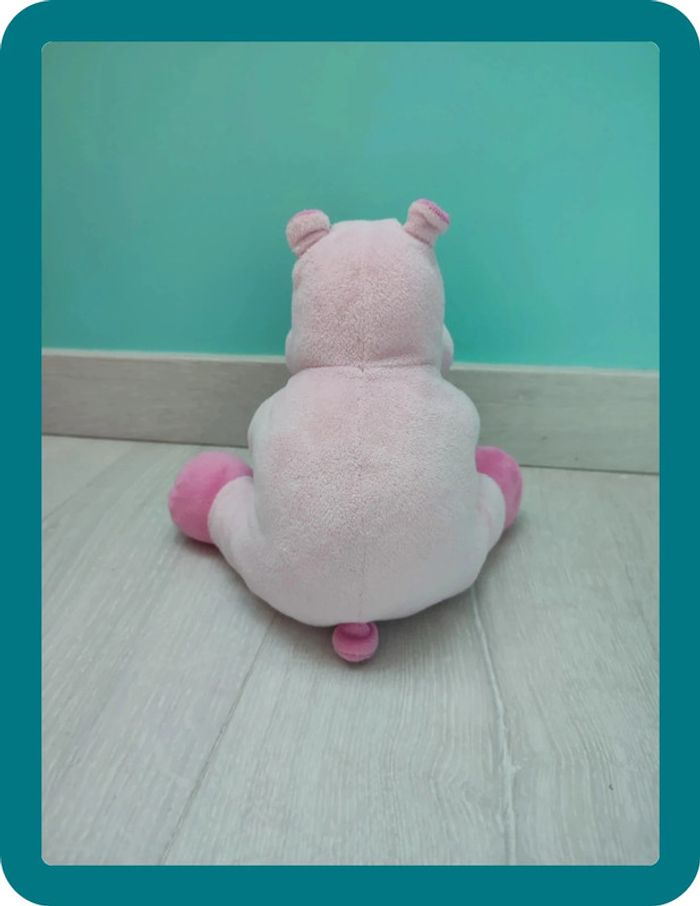 Hippopotame - photo numéro 2