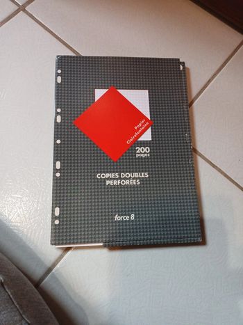 Copies doubles petits carreaux Clairefontaine