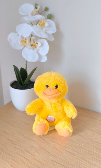 🦄 Peluche musicale Poussin 🦄