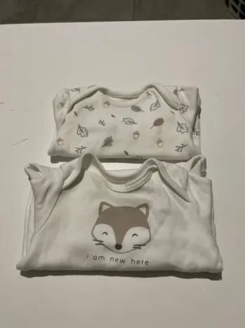 Bodies