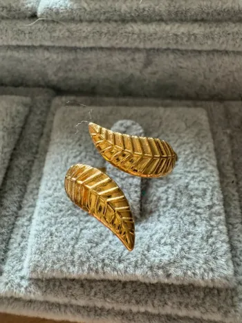 Bague acier chirurgical