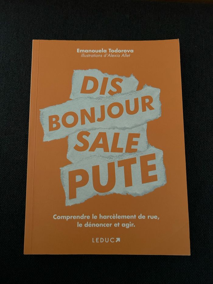 Livre « dis bonjour sale p*te »