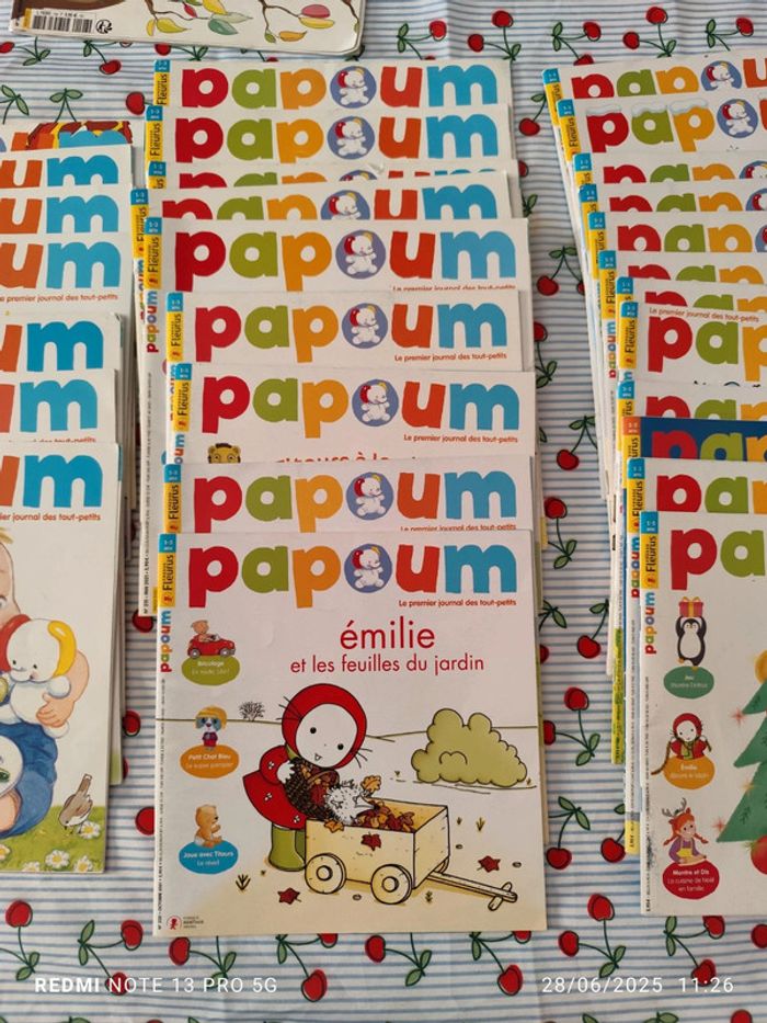 Lot papoum 40 livres dont une année complète - photo numéro 6