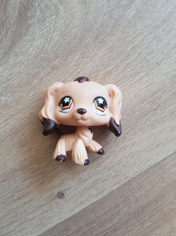 Littlest Pet Shop cocker