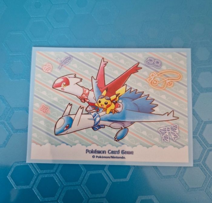 1 sleeve pokemon