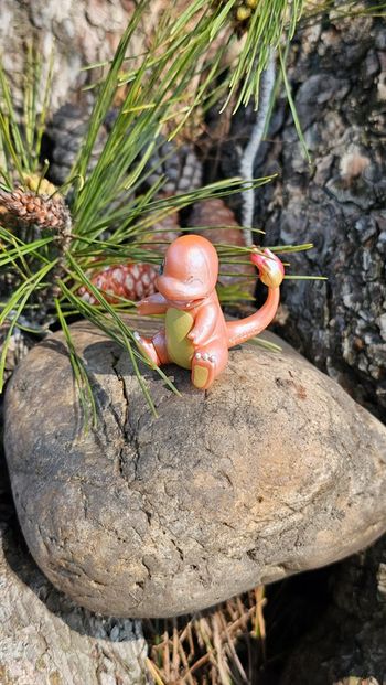 Super figurine Pokemon Nintendo Salameche