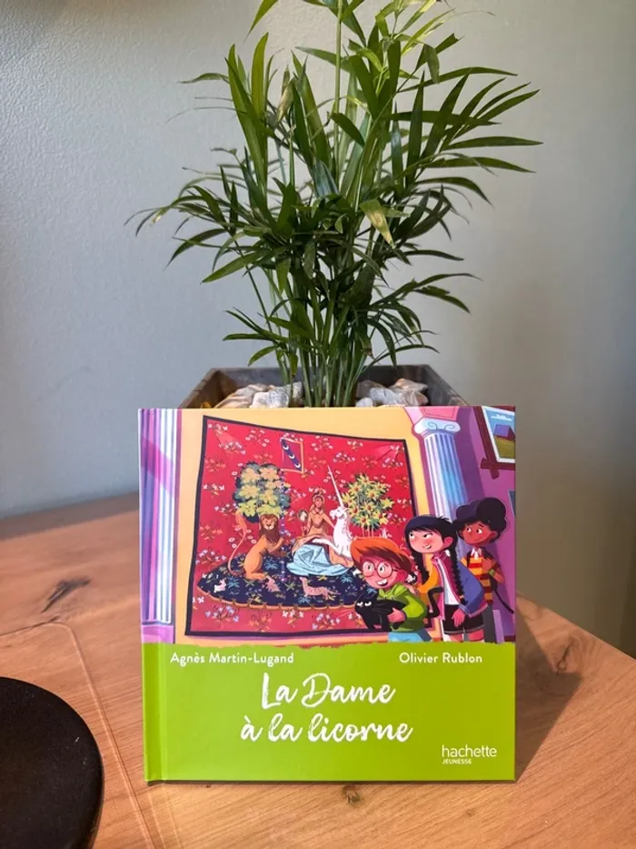 Livre collection le musée magique la dame à la licorne Mac si