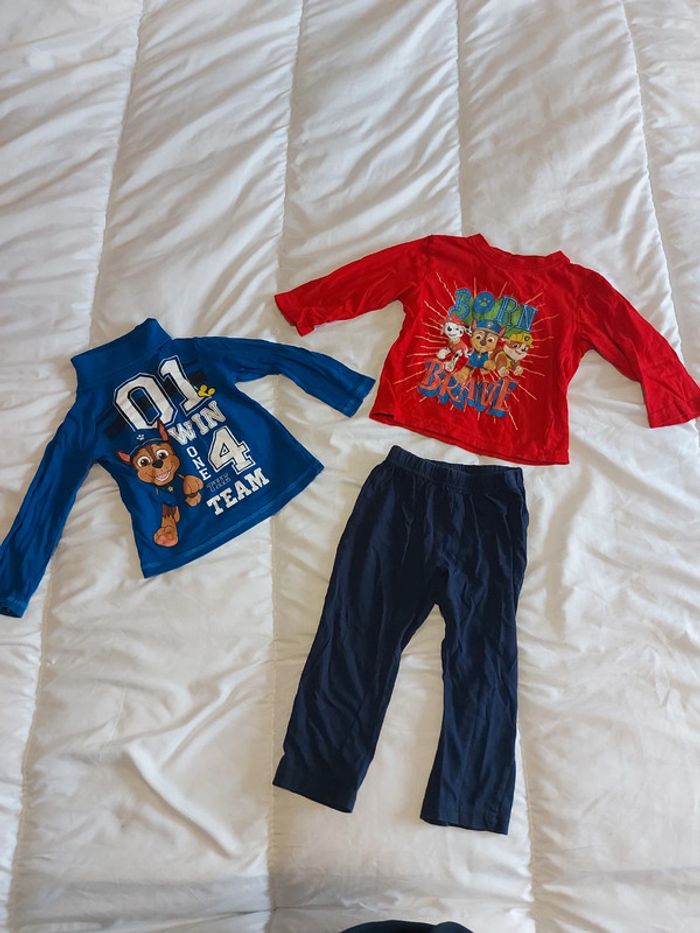 Petit lot paw patrol