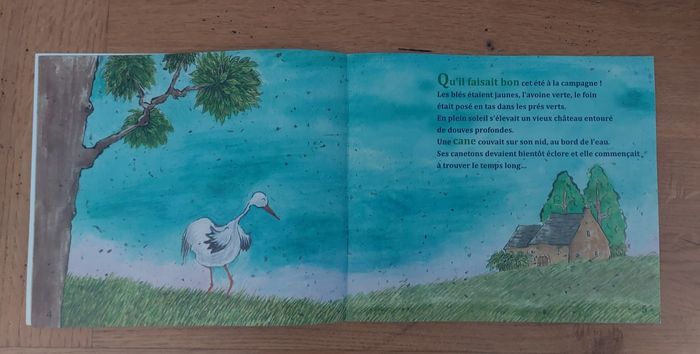 Le vilain petit canard - lire c'est partir - photo numéro 3