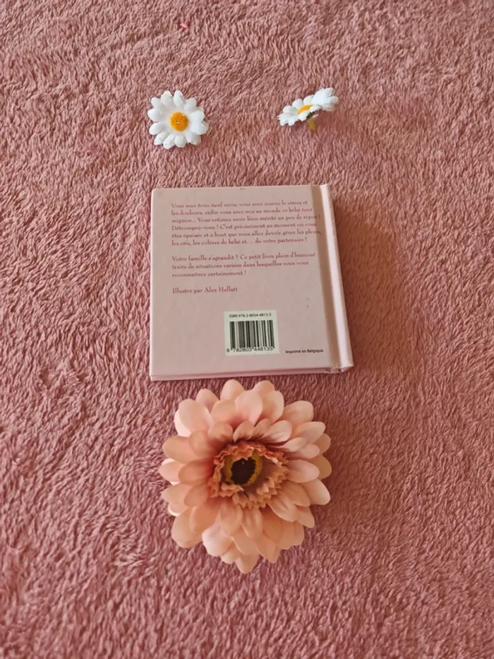 Livre guide de survie pour jeunes mamans - photo numéro 4
